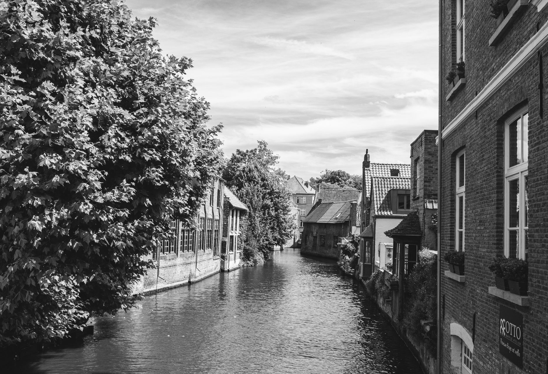 Een rustig hoekje in Brugge met gracht en bomen